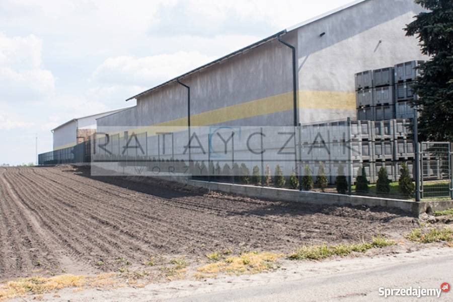 LATO 2019 Panel Panele Systemowe 3D 120m OCYNK Gniewkowo
