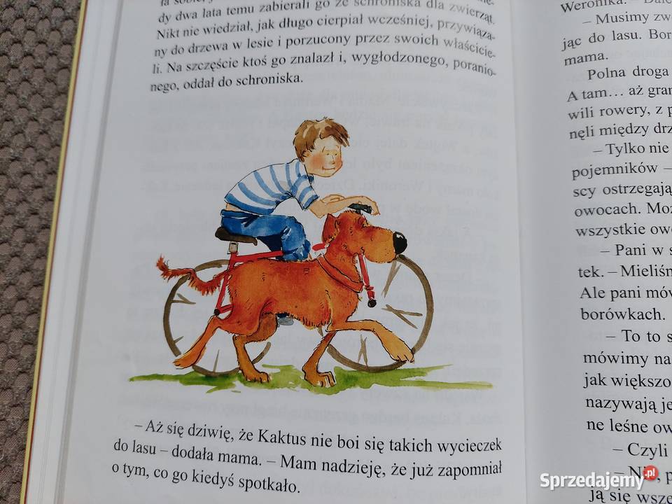 Kaktus szukaj Barbara Gawryluk Kraków sprzedam