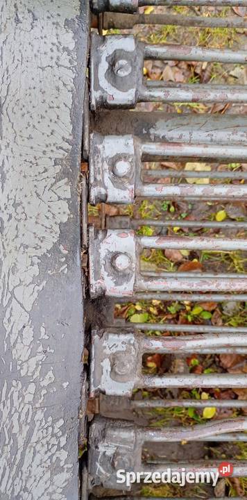 Kopaczka do ziemniaków Rolnictwo Szydłów sprzedam