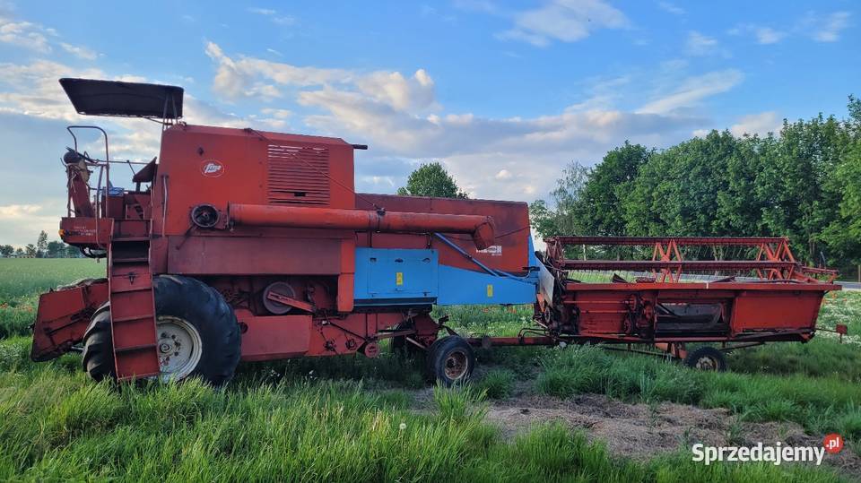 Bizon ZO56 Płock