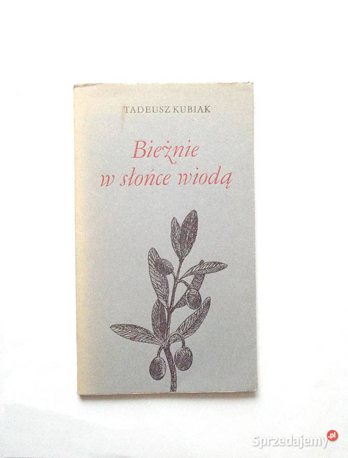 Tadeusz Kubiak Bieżnie w słońce wiodą poezja Proza i poezja Poznań