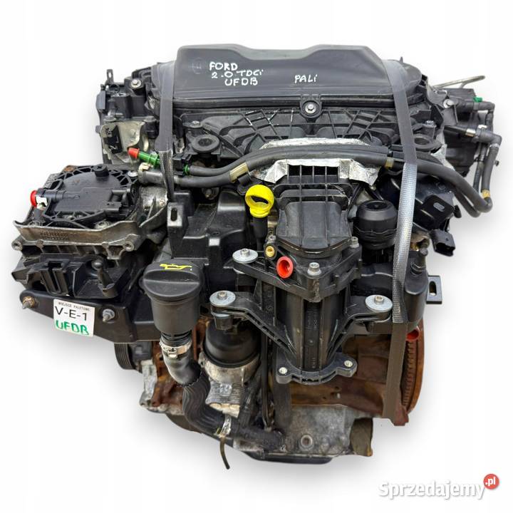 SILNIK UFDB Ford Focus III MK3 C C II 20 TDCI Chełm
