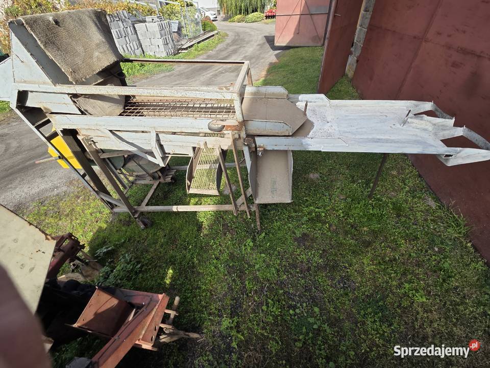 Sortownik do ziemniaków Kalisz