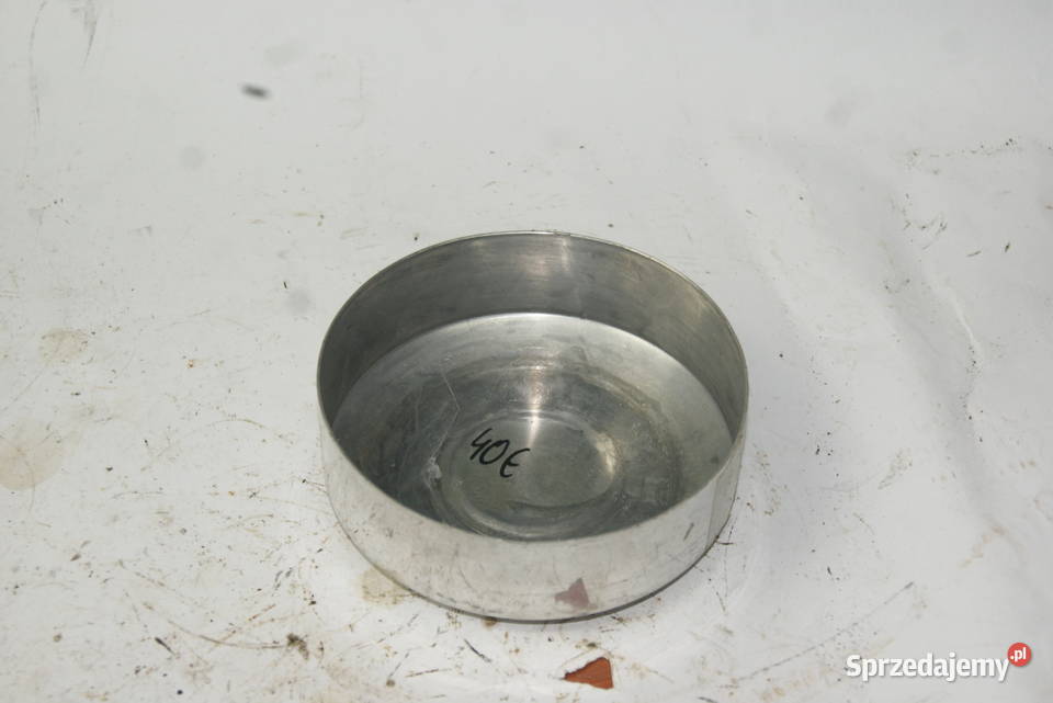 REX FM 50 POKRYWA SILNIKA EMBLEMAT rex Motoryzacja