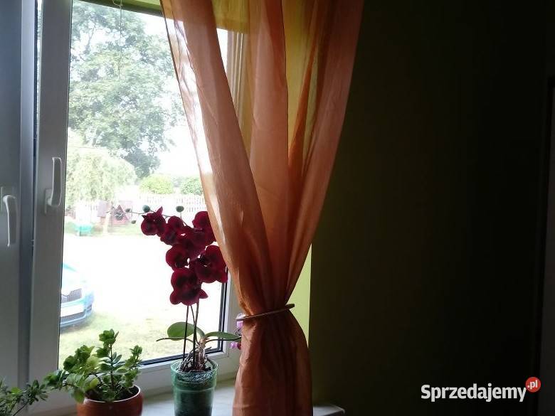 Zasłony pokojowe Łódź