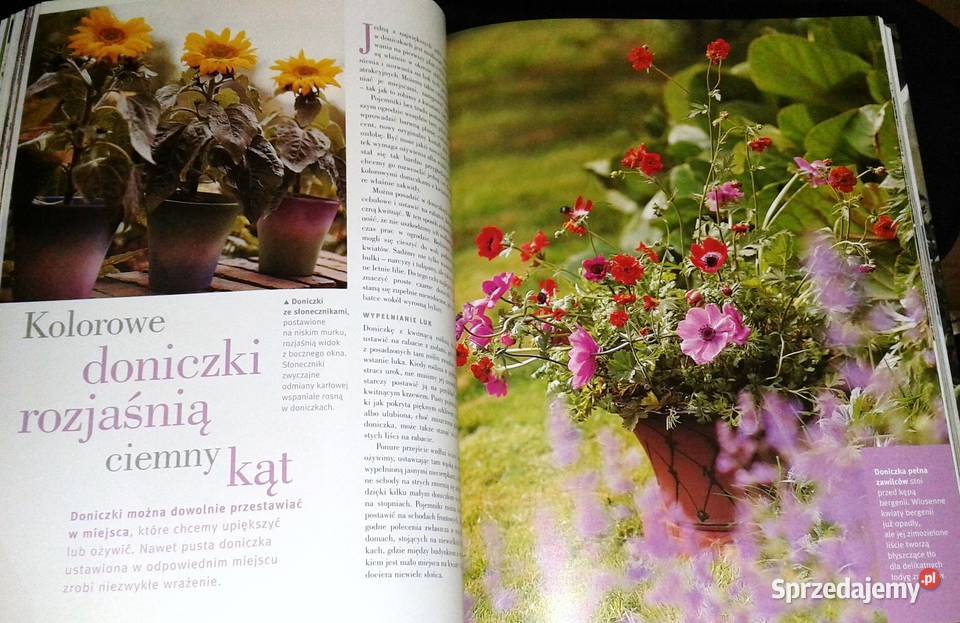 Ogród w doniczkach Readers Digest