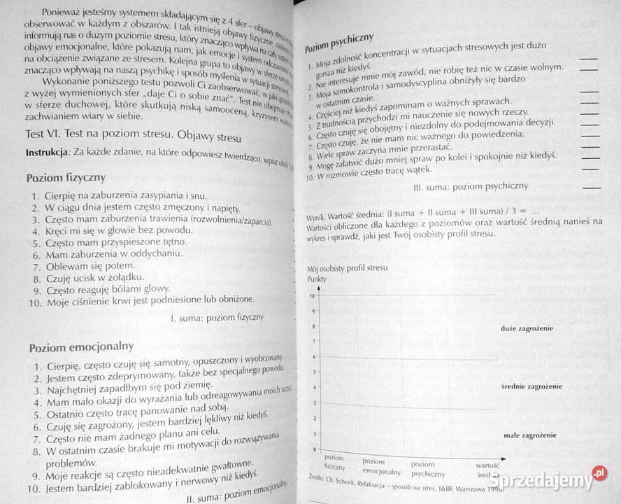 Cechy osobowe dyrektora szkoły a styl Rok wydania 2009 Chełm