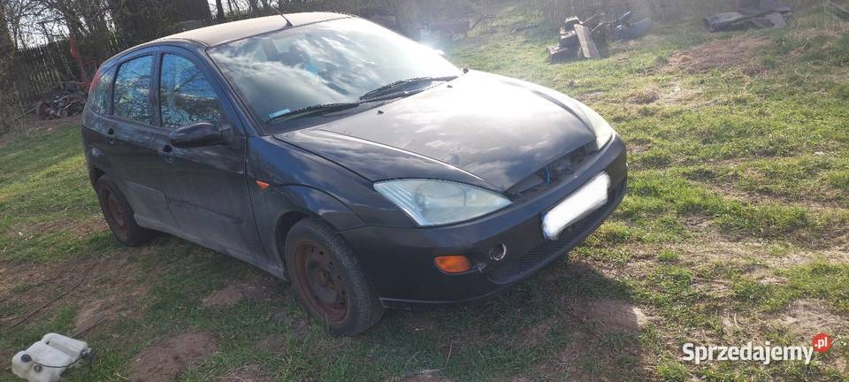 Ford Focus 18d opolskie Gorzów Śląski