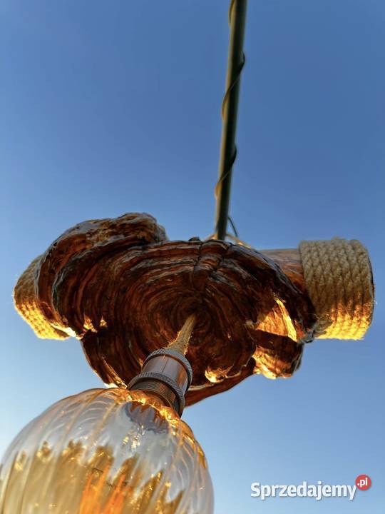 Lampa wisząca z czagi unikatowe rękodzieło Lubasz sprzedam