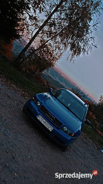 Audi A4 B5 Dydnia