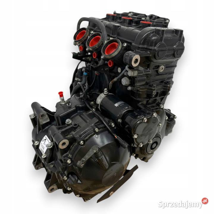 SILNIK Triumph Tiger 1050 115 20072012 engine Chełm
