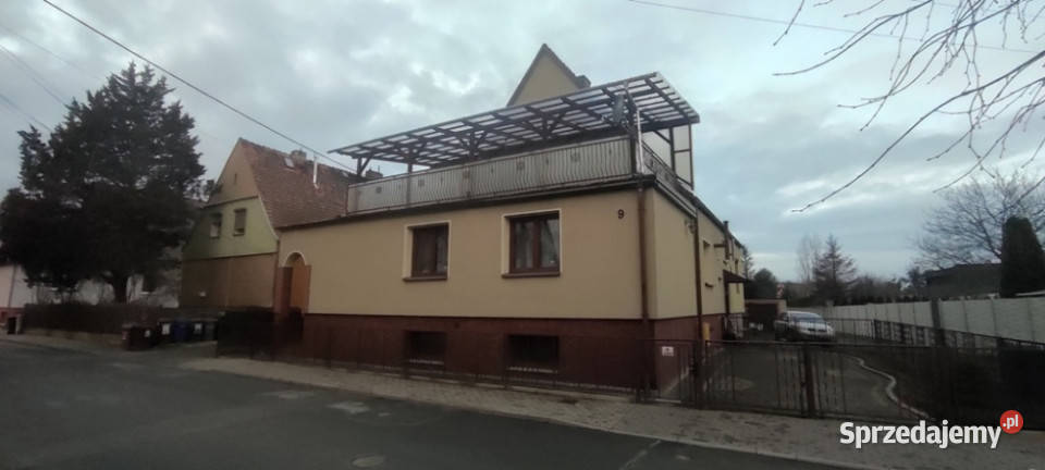 Lewinie Brzeskim twój wymarzony bliźniak Idealny Lewin Brzeski
