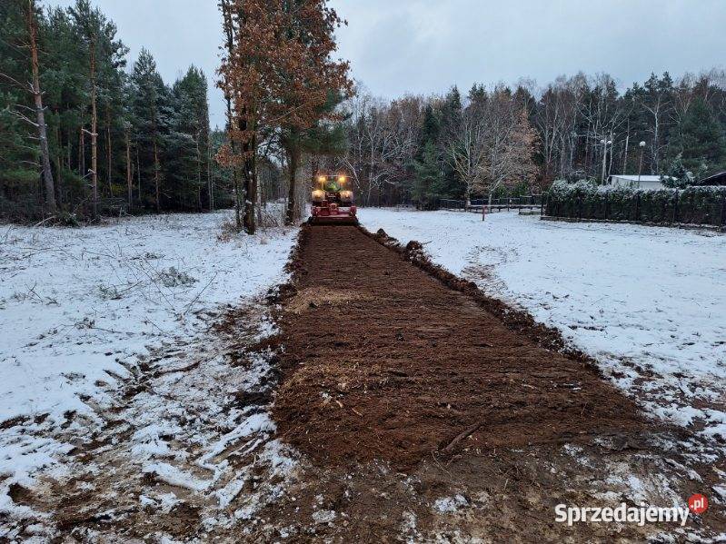 Wycinka drzew Czyszczenie działek Mulczowanie Rybnik