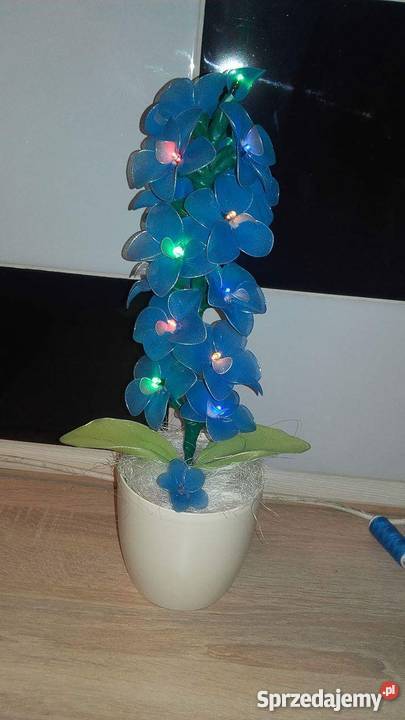 storczyki z rajstop opolskie sprzedam