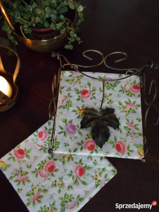 Serwetnik z Przyciskiem Metalowy Serwetnik Pozostałe