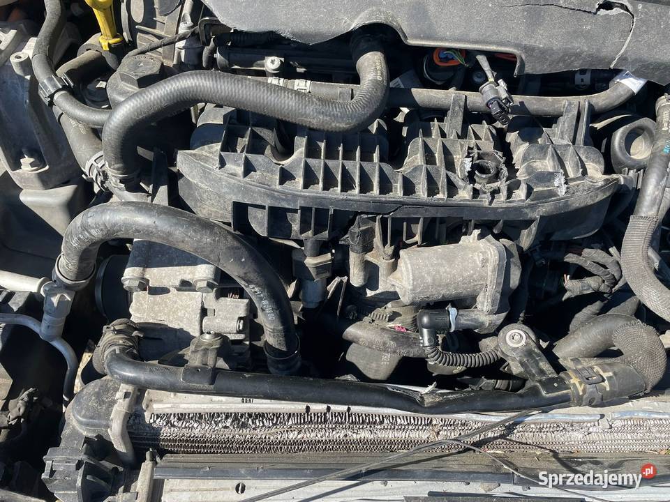 SEAT Lon III CupraR 20 TFSi 310 106 of 799 HF739 Opole sprzedam
