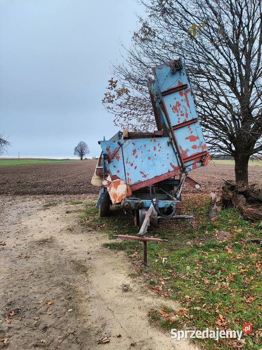 Kombajn ziemniaczany Anna Z644 Opatówek