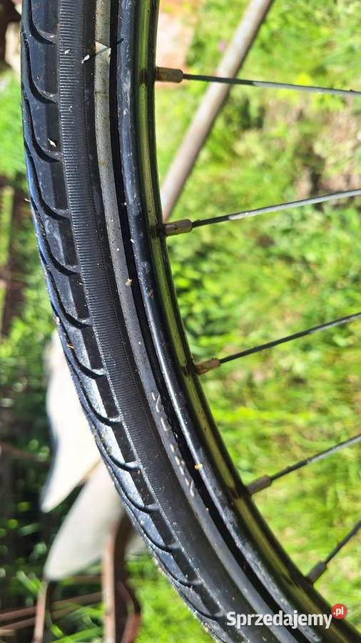 Rower retro Gazelle Koninkluge dieren Sport i Wypoczynek sprzedam