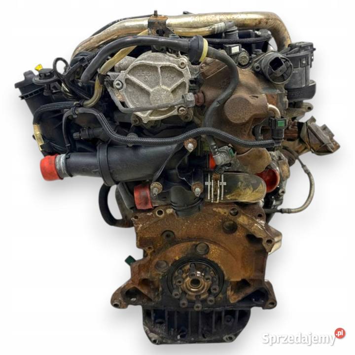 SILNIK RHK Peugeot Expert Citroen Jumpy Fiat Chełm sprzedam