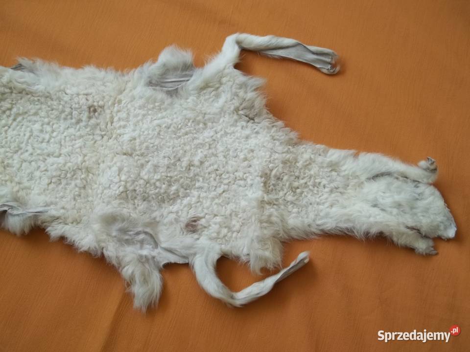 Karakuł jasny wyprawiona skórka Łódź