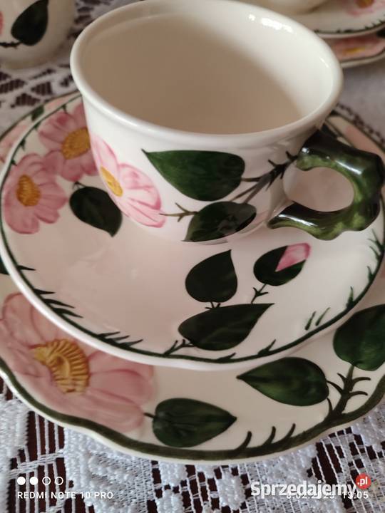 Serwis Willeroy Boch Wild Rose Stargard