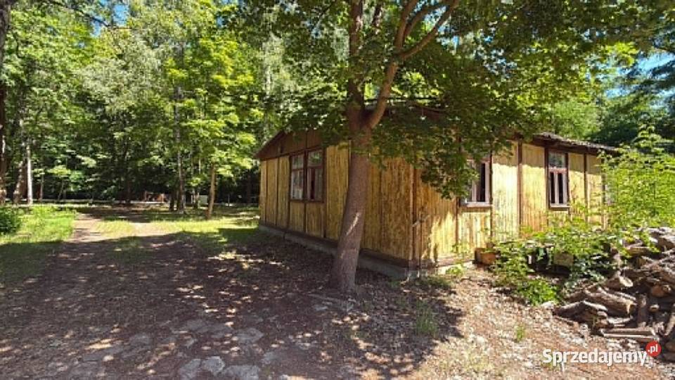 Na sprzedaż działka inwestycyjna Przyjezierze Strzelno sprzedam