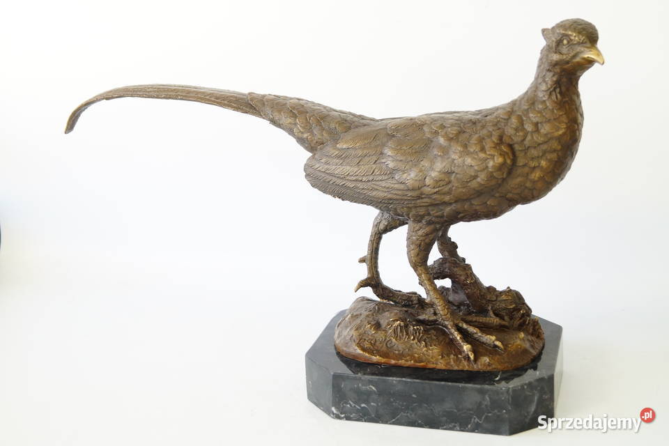 DUŻY BAŻANT figura z brązu rzeźba myślistwo wielkopolskie sprzedam