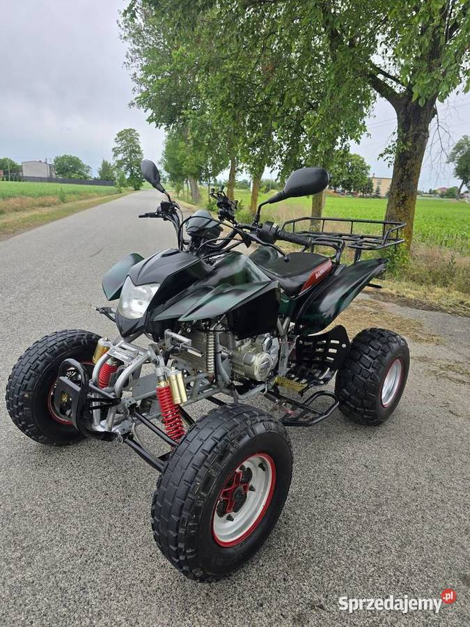 Quad Bashan Bs250S Ciecz Koła 10 Duża Rama Kruszwica