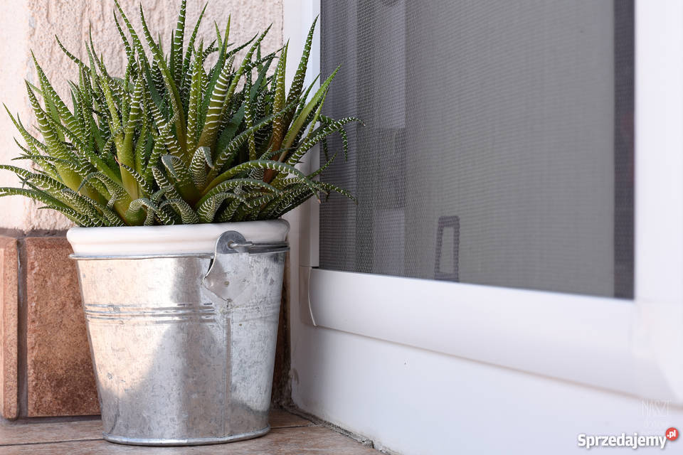 MOSKITIERA OKIENNA profil aluminiowy kołnierzowy małopolskie Kraków