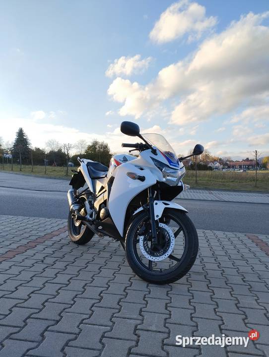 Honda CBR 125 JC50 2012 nieuszkodzony