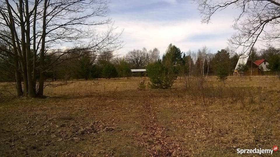 działka zalewem zegrzyńskim Arciechów 2700m2 mazowieckie Arciechów