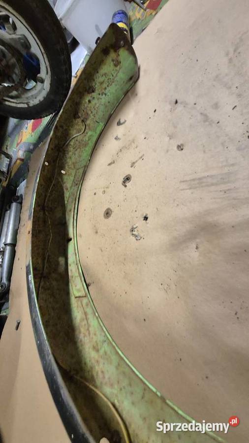 Komar błotnik tylny