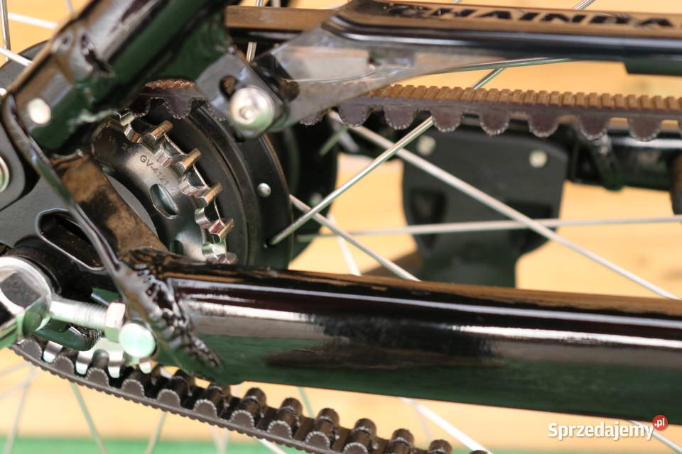 Rower elektryczny Riese Muller Swing City D51 Na