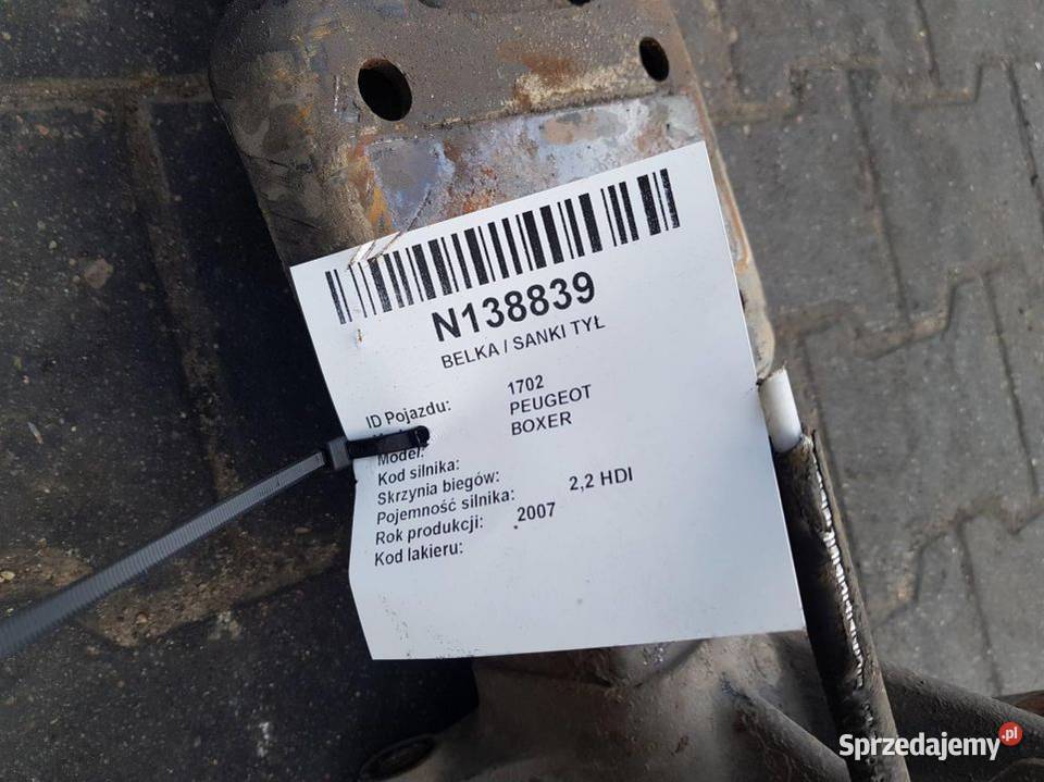 BELKA SANKI TYŁ BOXER