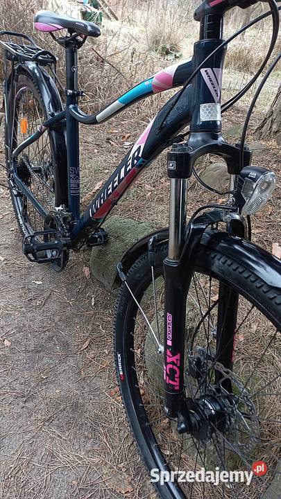 Alu Rower Górski Damski Wheeler Passera Atb 3x8 Górskie, MTB Wołów
