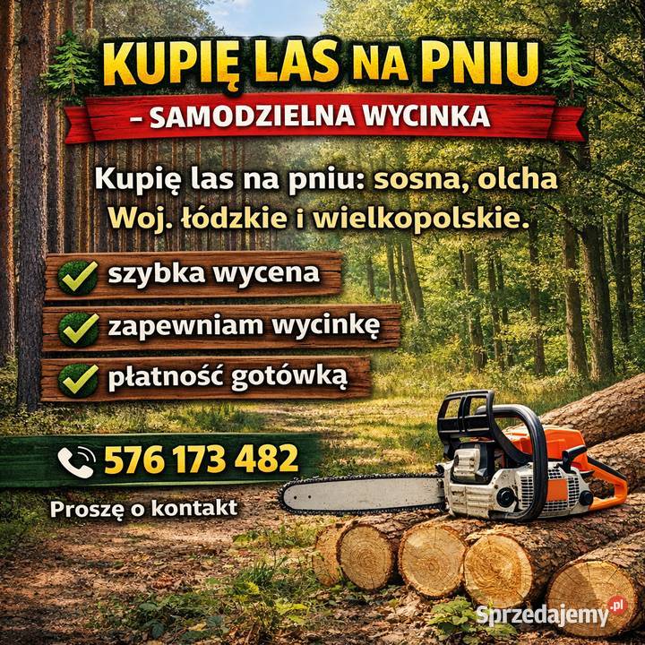 Las na pniu Rychwał