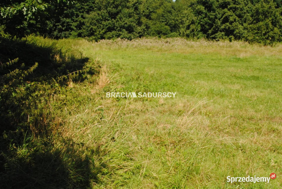 Działka Gdów 8670m2 handlowo-usługowa małopolskie