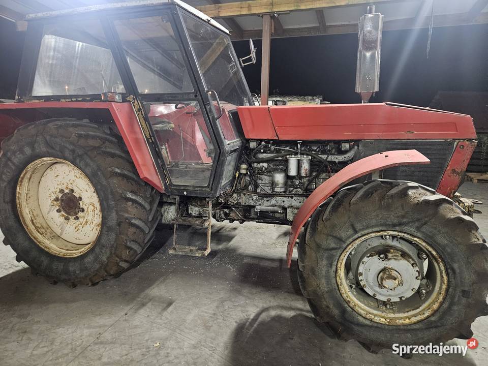 Ursus 1224