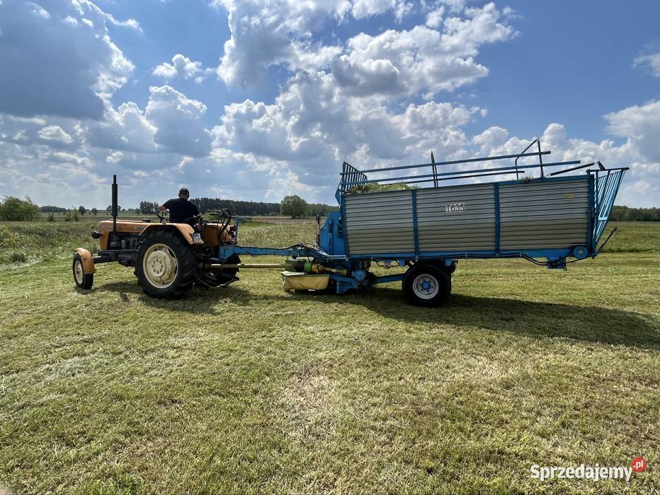 Ścinacz Zielonek zamet t 635