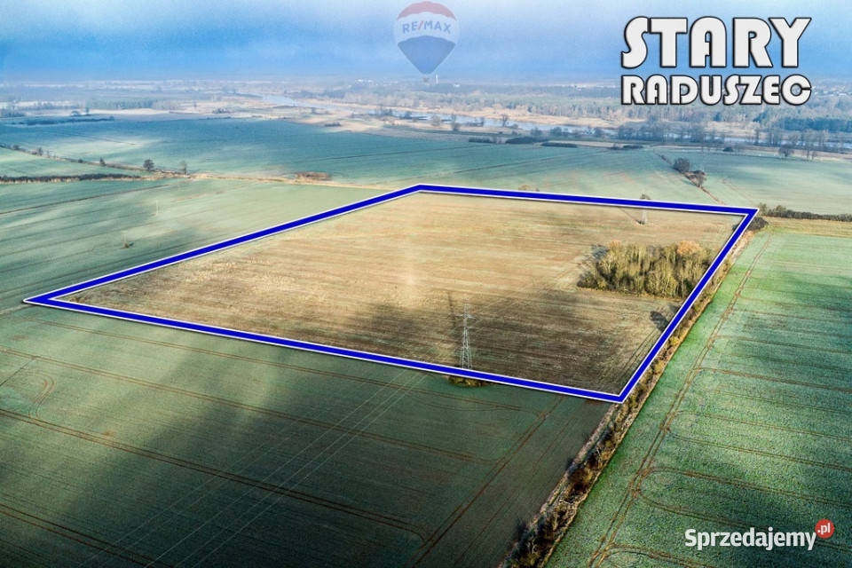 Na sprzedaż grunty orne RIIIa 875 ha Stary Raduszec