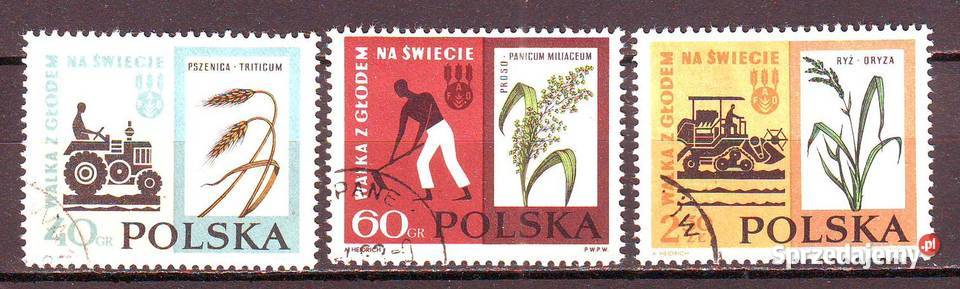 Zn 1223 5 kas 1963 Gliwice