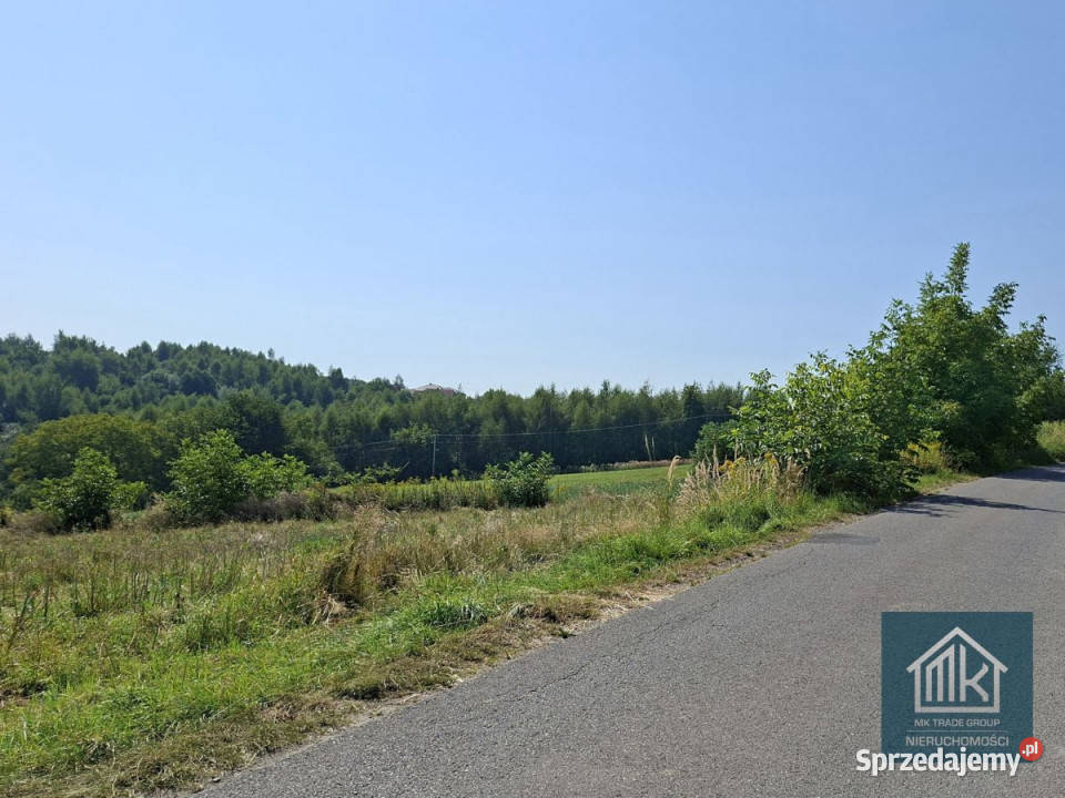 sprzedaży działki Bodzanów 5890m2