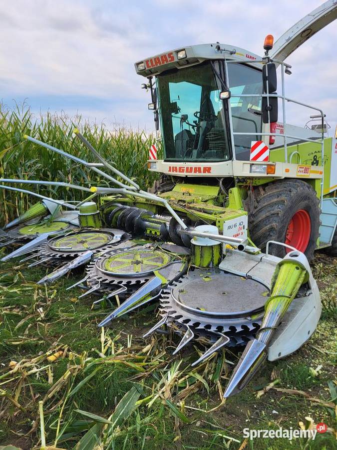 Sieczkarnia Claas Jaguar 880 Gniotownik podlaskie Bobrówka