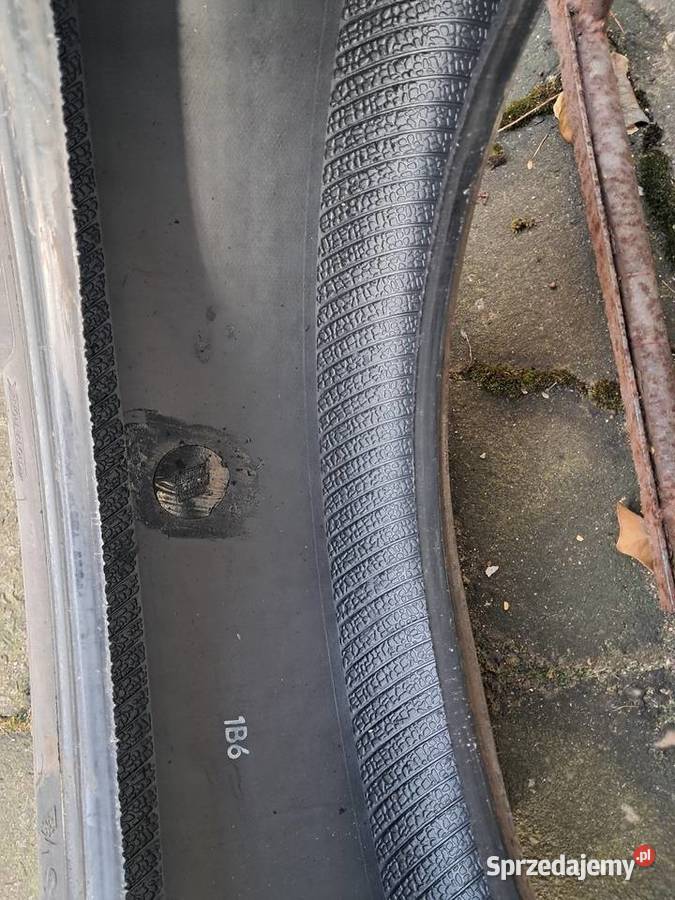 Opony apollo alnac 4g winter 205 55 16 śląskie Koziegłowy