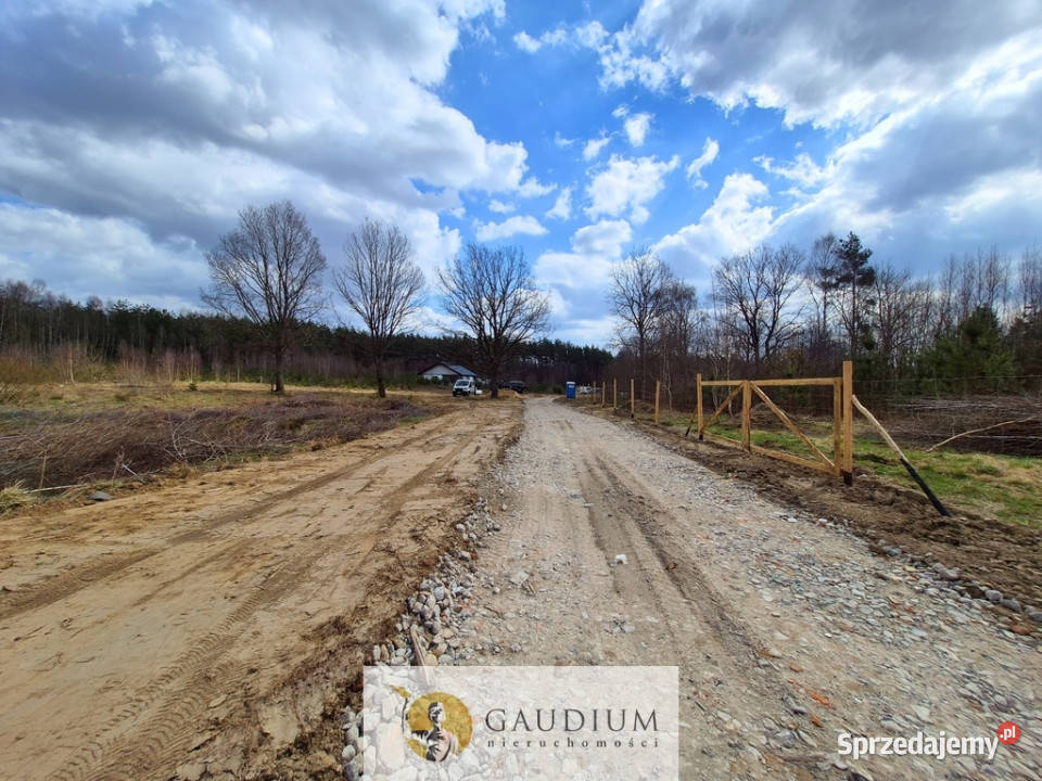 Przystanek NATURA działka pod lasem Kobysewo sprzedam