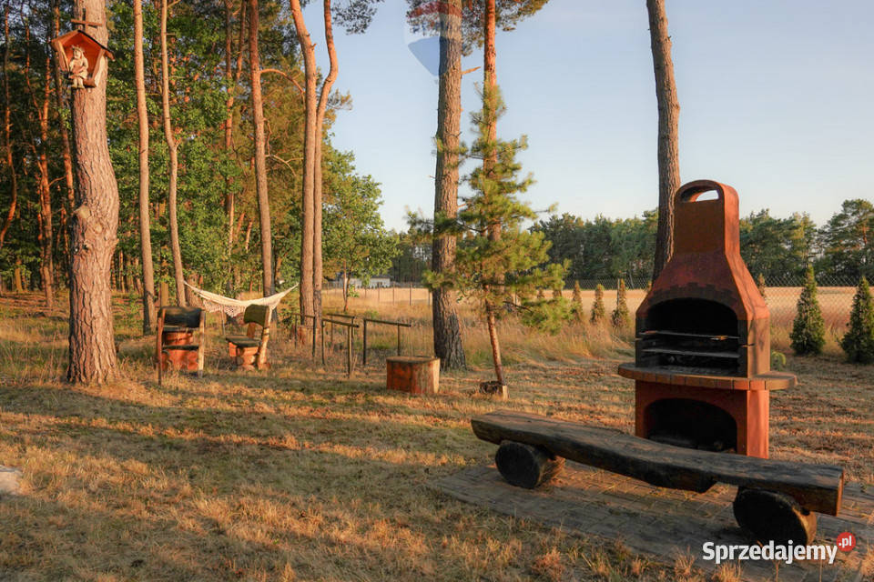 Działka leśna z domkiem na sprzedaż Rozniszew