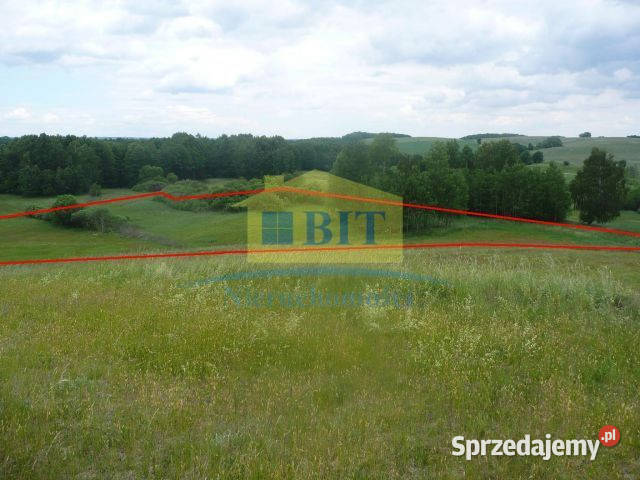 Działka rolna 150 m jeziora rolna Sprzedaż Piaseczno sprzedam