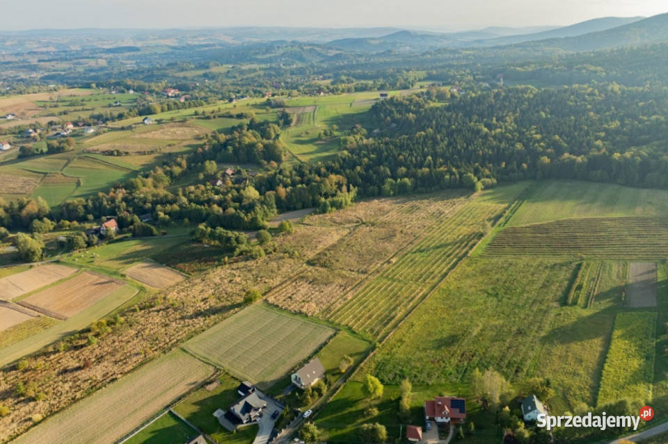 Działka budowlana na sprzedaż Kamionna Trzciana