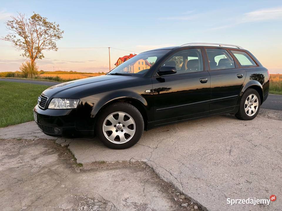 Audi a4 b6 19 TDI 101 z Niemiec diesel Brudzeń Duży