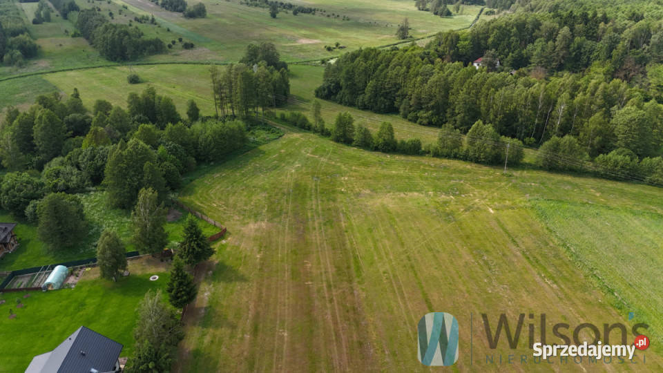 Grunt 12801m2 Udrzyn 12801m2 Grunty i działki sprzedam